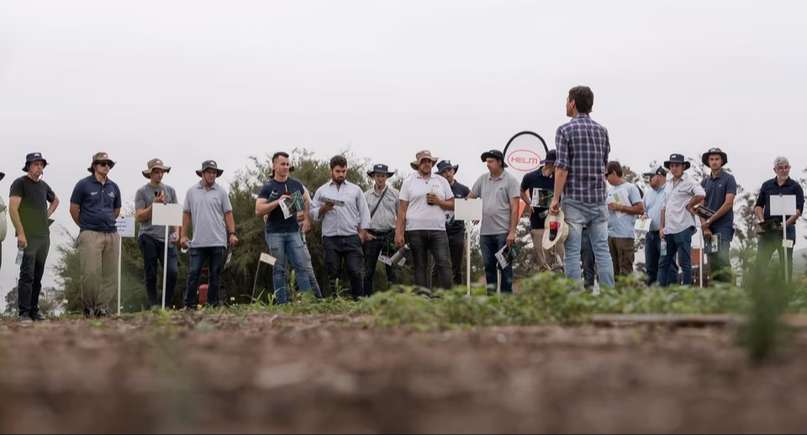 La huida de las multinacionales no se detiene: una gigante alemana del agro abandona el país tras 23 años y despide a todo su personal