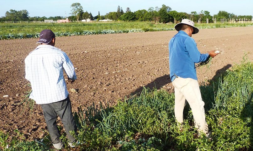 La Mesa de Enlace se niega a aumentar el sueldo de peones rurales y desde UATRE apuntan: “Tienen ganancias récord, pero quieren trabajadores pobres” La Mesa de Enlace se niega a aumentar el sueldo de peones rurales y desde UATRE apuntan: “Tienen ganancias récord, pero quieren trabajadores pobres”