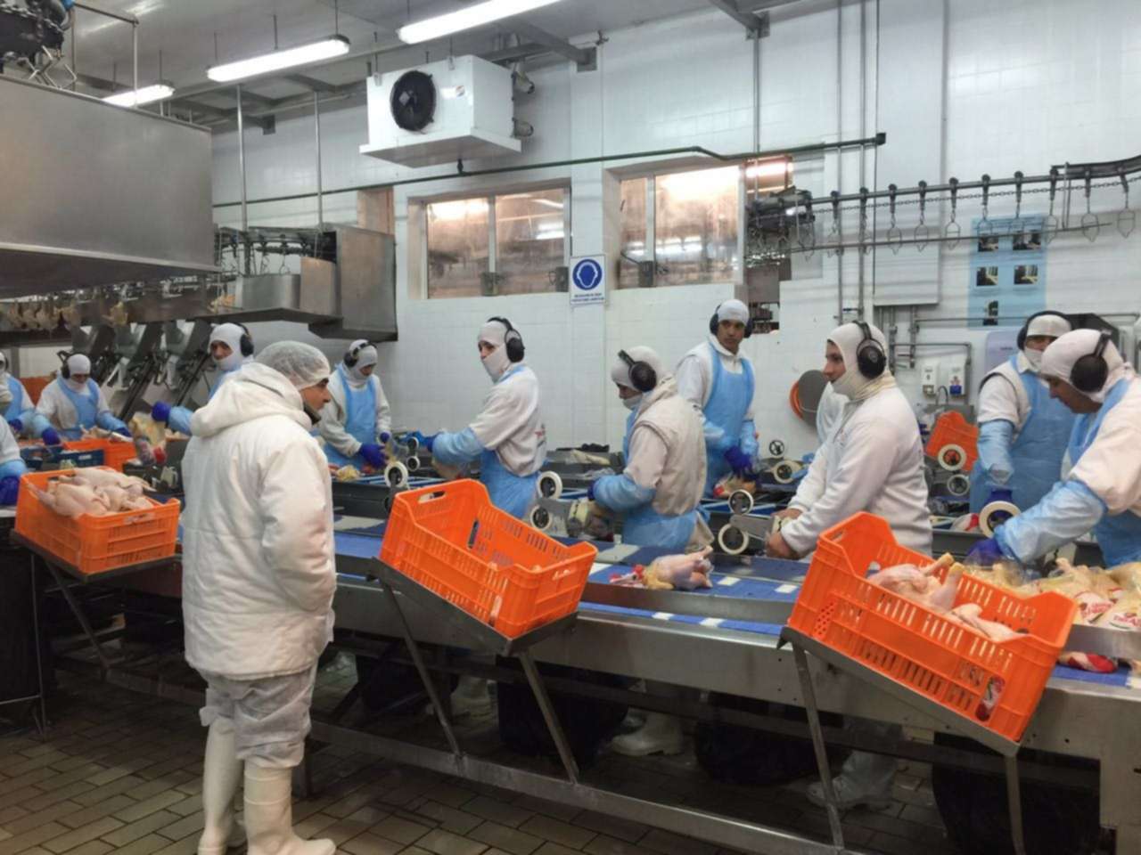 Granja Tres Arroyos: suspenden a 300 trabajadores de la planta de Pilar por todo agosto y cobrarán sólo el 65% del sueldo 